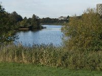 NL, Noord-Brabant, 's Hertogenbosch, De Pettelaar 8, Saxifraga-Jan van der Straaten